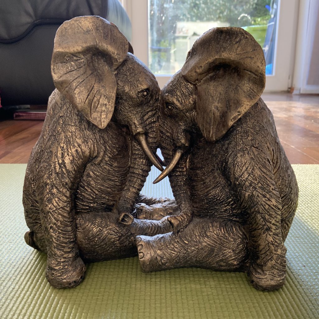Two beautiful African elephants meditating